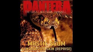 MASTIC SCUM  Reprise Sandblasted Skin PANTERA COVER [upl. by Stavro]