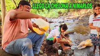 LLEGO LA CHELONA ANIMARLOS SE SINTIERON ALEGRE C9 [upl. by Ivad]