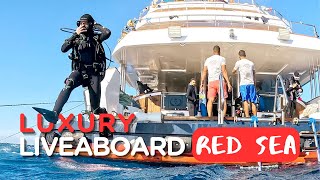 RED SEA LUXURY DIVE LIVEABOARD  Arriving in Egypt  first night on board [upl. by Deelaw15]