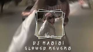 DJ HABIBI VIRAL TIK TOK Slowed reverb [upl. by Humfrid]