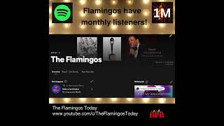 FLAMINGOS 1M ON SPOTIFY [upl. by Wichern940]