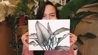 My Charcoal Plant Drawings [upl. by Held]