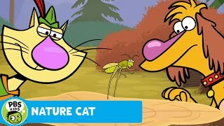 NATURE CAT  Dustin Hopman  PBS KIDS [upl. by Nocaj175]