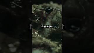 🌍🦇 Discover the 5 Freakiest Creatures on Earth 🦇🌍 [upl. by Yssak830]