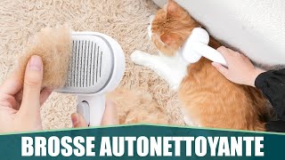 LA MEILLEURE BROSSE POUR POILS DE CHAT amp CHIEN  Aumuca [upl. by Yzeerb953]