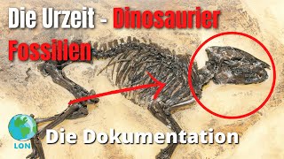 Die Urzeit  Fossilienfunde der Dinosaurier 2021  DEUTSCH  DOKU  DINOSAURIER [upl. by Aynad]