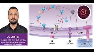 Cell Signaling 2 [upl. by Leibrag]