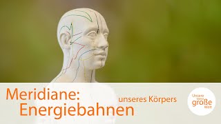 69 … Meridiane Energiebahnen unseres Körpers Unsere kleine große Welt [upl. by Dyolf]