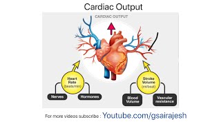 Cardiac Output  Stroke volume  Heart rate  Heart failure Arrhythmia [upl. by Yelwah]