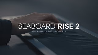 Seaboard RISE 2 Any instrument is possible [upl. by Pudens]