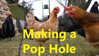 Making A Pop Hole For The Chickens [upl. by Charles]