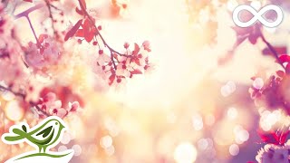 9 Hours of Relaxing Sleep Music • Soft Piano Music Fall Asleep Fast 98 [upl. by Scandura246]