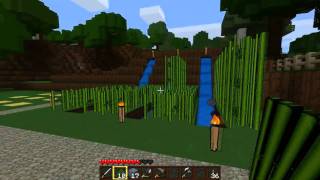 Lets play MINECRAFT 029  Das Schwein mit der schlechten Laune  deutsch  HD [upl. by Aiehtela]