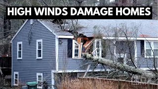 01102024 Marshfield MA  Large Tree Crashes Through Home  Powerful Winter Storm [upl. by Butta]