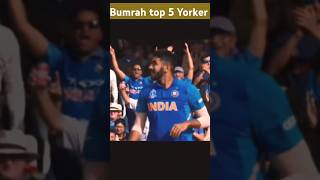 Bumrah top 5 Yorker ytshorts shorts [upl. by Katti]