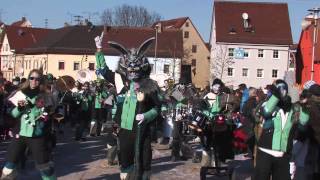 Narrentreffen Rottenburg 2013 [upl. by Otrevogir]