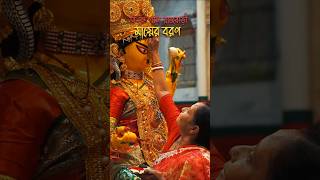 Abar esho maa  BK Pal Rajbari Maa er Boron Jagaddhatri Puja kolkata shorts [upl. by Alton31]