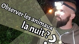 Observer les animaux la nuit [upl. by Aselehc]