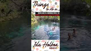 Top 7 Things to do in Isla Holbox Mexico [upl. by Vala964]