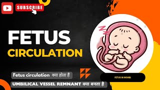 Fetal circulation in pediatics  Fetus circulation in hindi  Fetus circulation physiology [upl. by Denby]