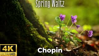 Frédéric Chopin Spring Waltz 2 Hours Enjoy the Most Relaxing Classical Music [upl. by Burbank]