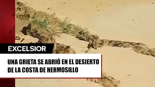 Enorme grieta se traga a unos becerros en Sonora [upl. by Eniad754]