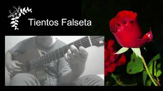 Tientos Flamenco Guitar Falseta  ティエントス ファルセータ [upl. by Aicirtan803]