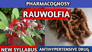 Rauwolfia Pharmacognosy New Syllabus  Pharmacognosy Crude Drug [upl. by Anillehs]