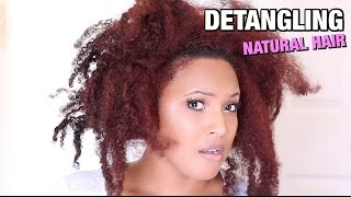 BEST DIY NATURAL HAIR DETANGLER EVER YOU WONT BELIEVE THE SLIP marshmallowroot naturalhair [upl. by Eltsyrhc797]