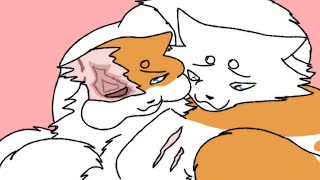 hey lover Warrior cats Brightheart x Cloudtail [upl. by Bessie]