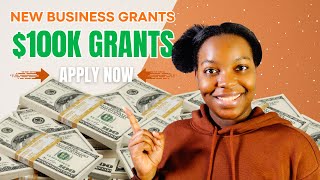 NEW 100K SMALL BUSINESS GRANTS  2024 Grants  APPLY NOW [upl. by Eicaj]