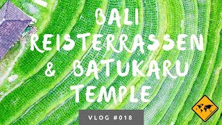 Die schönsten Bali Reisterrassen in Jatiluwih amp Batukaru Temple  Unsere Bali Erfahrungen [upl. by Meluhs]