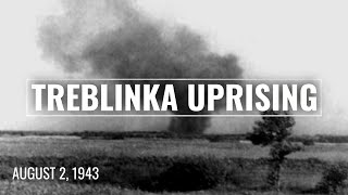 The Treblinka Uprising Resistance amp Remembrance 80 Years Later [upl. by Kenyon]