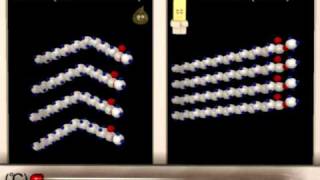 Lipid Structure Function Animation [upl. by Llig]