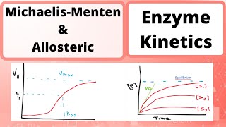 Enzyme Kinetics  Biochemistry Michealis Menten amp Allosteric [upl. by Adnavoj]