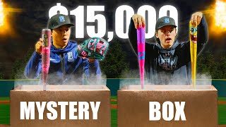 Whats Inside this INSANE 15000 BASEBALL MYSTERY BOX [upl. by Eiramanit425]