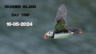 Skomer Day Trip 16052024 [upl. by Wong74]