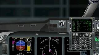 PMDG Md11 full tutorial part1 [upl. by Langbehn433]