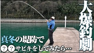 良型アジ連発からタイまで釣れる大快挙。今からの時期はこんなサビキ釣りを試してみては？ [upl. by Abba]