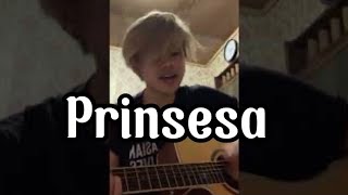 Prinsesa  Daniel Padilla Allidap Cover [upl. by Randolf996]