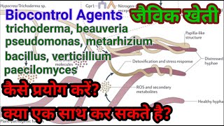 193 जैविक खेती में जैव नियंत्रण उत्पादों का सही प्रयोग कैसे करें। How to use Biocontrol agents [upl. by Akcimat282]