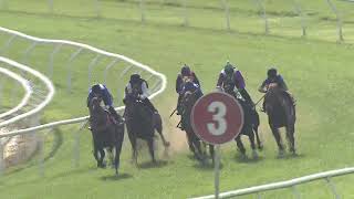 Heat 5 Doomben Jumpouts 0810 [upl. by Alihet376]