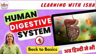 Human Digestive system Part1 V1 Class 10 Biology Class 10 Science [upl. by Ayekram]