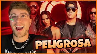 REAGINDO a PELIGROSA da ANITTA WISIN SHAGGY e MAFFIO  REACT  Rodrigo Will [upl. by Aggarwal]