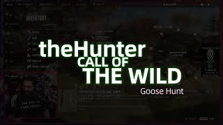 Check Out This Canada Goose Hunt In COTW [upl. by Dyke886]