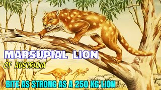 What happened to the Marsupial Lion of Australia [upl. by Suraved752]