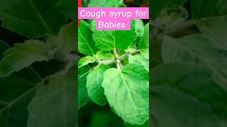 குழந்தை மருத்துவம் சளி🌿 shorts baby health trending homeremedies [upl. by Eirlav]