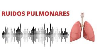 AUSCULTACIÓN PULMONAR ruidos normales y anormales [upl. by Noseimaj]