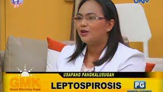 What is Leptospirosis [upl. by Reinar]