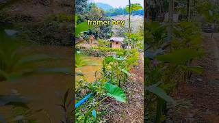 farmer boy introduction video [upl. by Alcus]